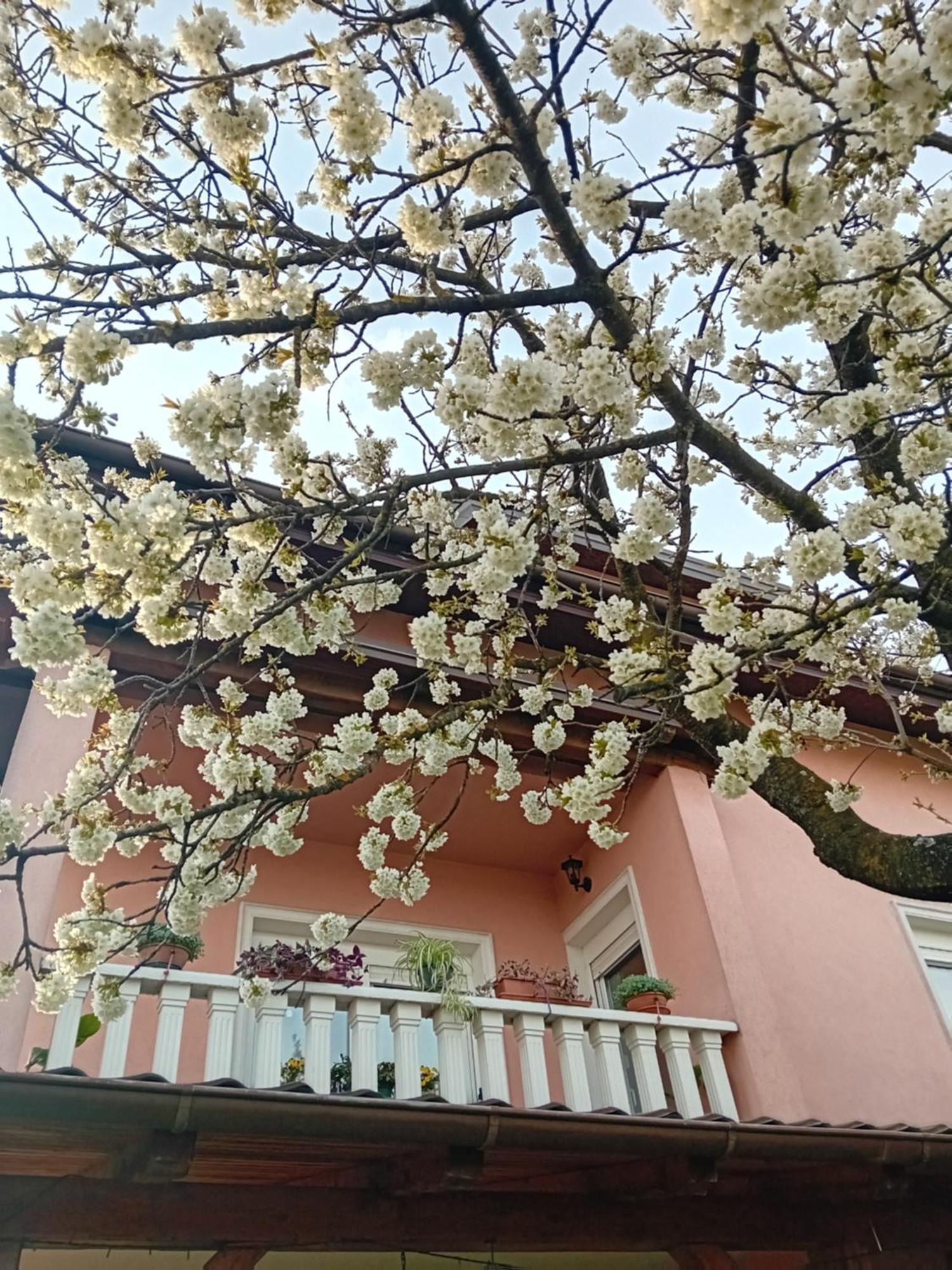 Apartman Nada Krapina Exterior photo
